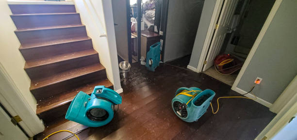 Best 24-hour water damage restoration  in Winchester, MO