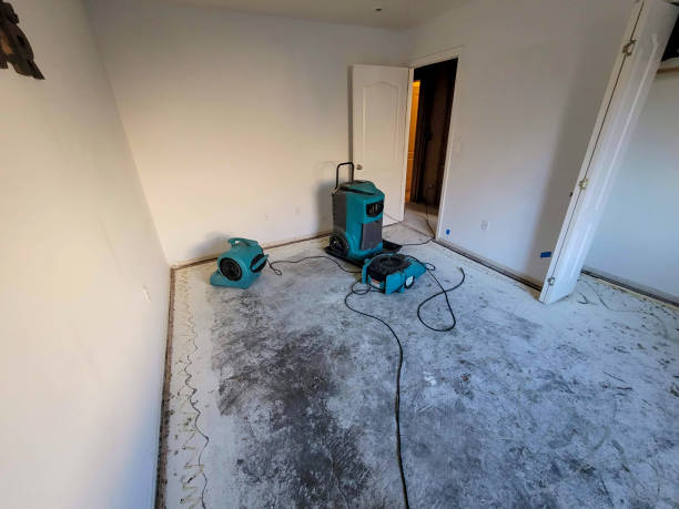 Water damage restoration mold remediation in Winchester, MO