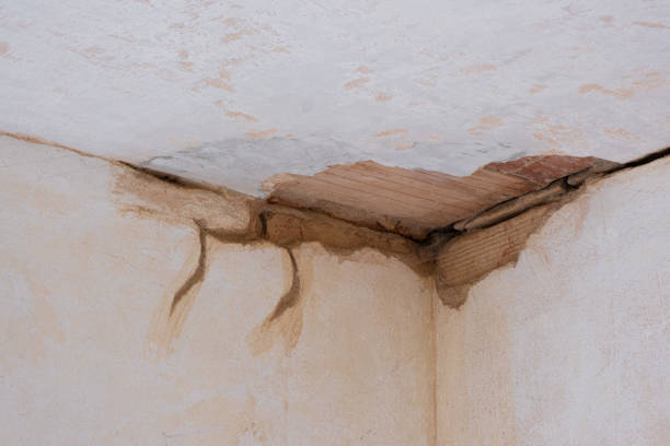 Best Water damage repair service  in Winchester, MO