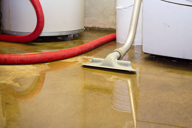 Best Water damage cleanup near me  in Winchester, MO