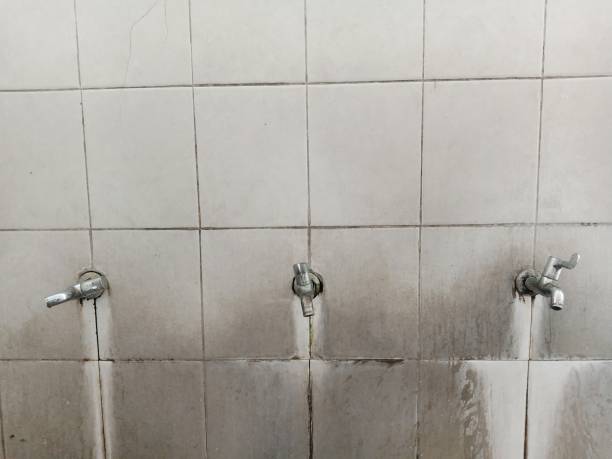 Best Water damage restoration near me  in Winchester, MO