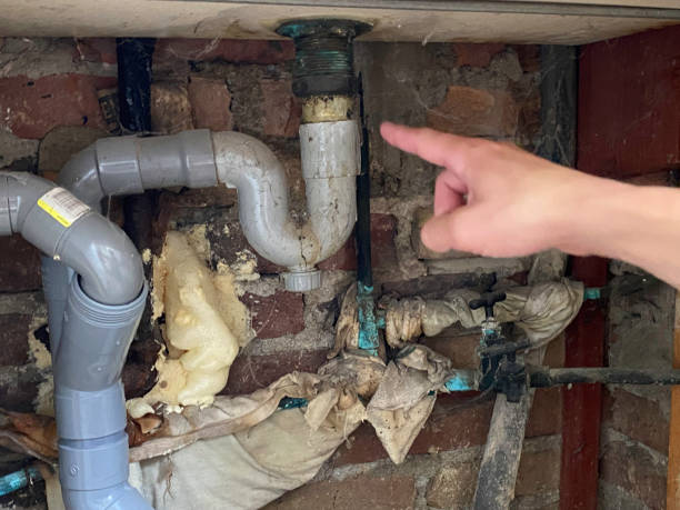 Best Professional water damage repair  in Winchester, MO