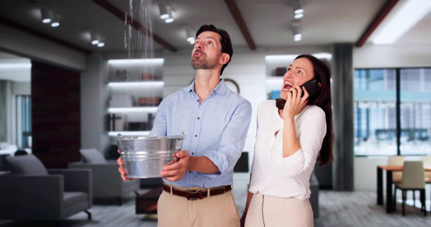 Best Flood damage cleanup  in Winchester, MO