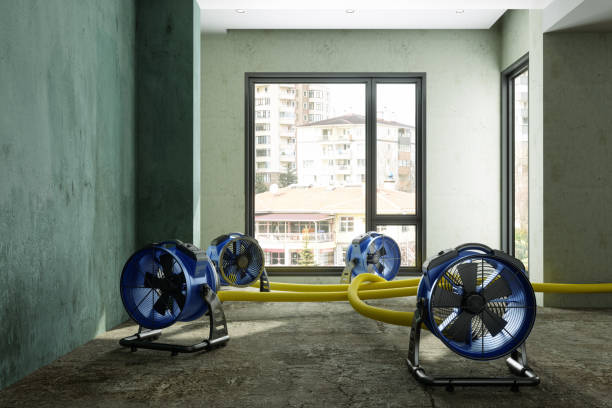 Best Commercial water damage restoration  in Winchester, MO
