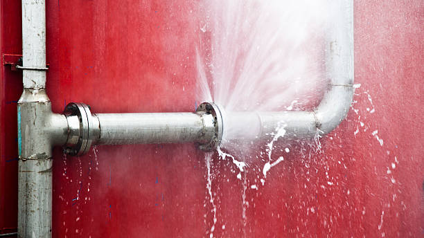 Best Water damage restoration mold remediation  in Winchester, MO